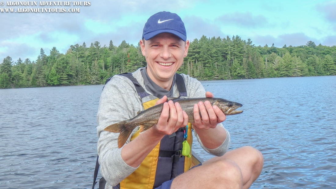 Algonquin Park Guided Trout & Bass Fishing Tour - Algonquin Park Adventure  Tours - Canoe Trips, Glamping Camping & Day Tours